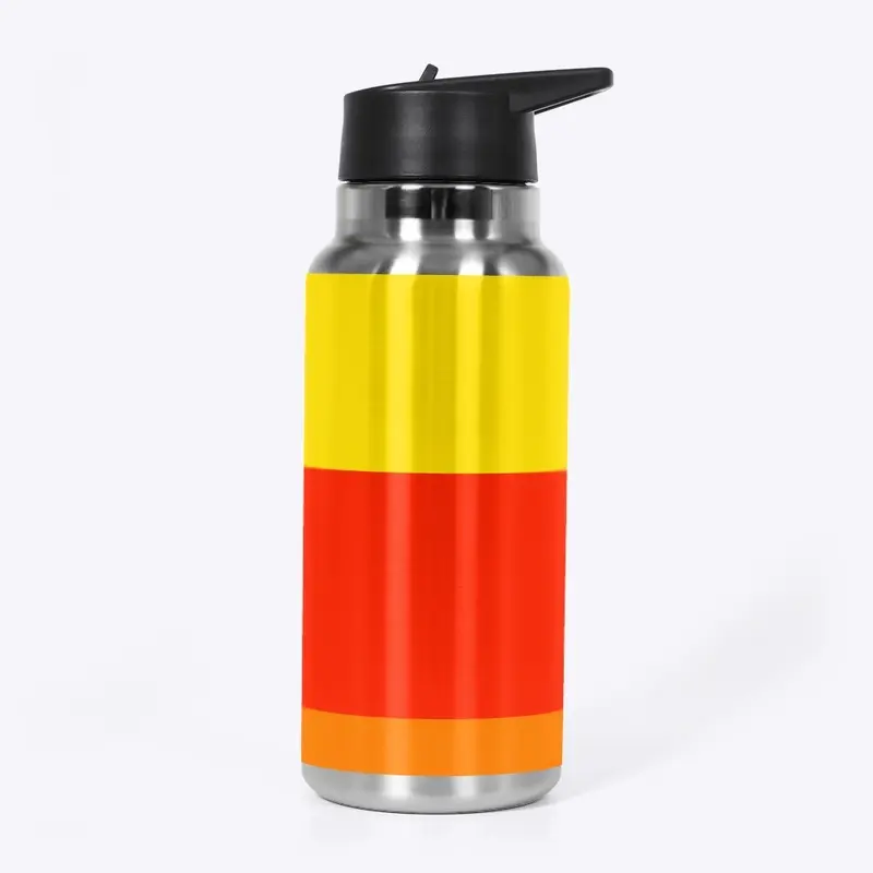 Stainless steel water bottle 